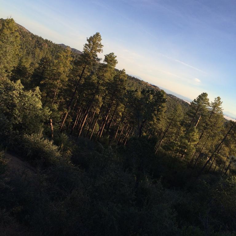 Apple Creek Cottages Prescott Eksteriør bilde